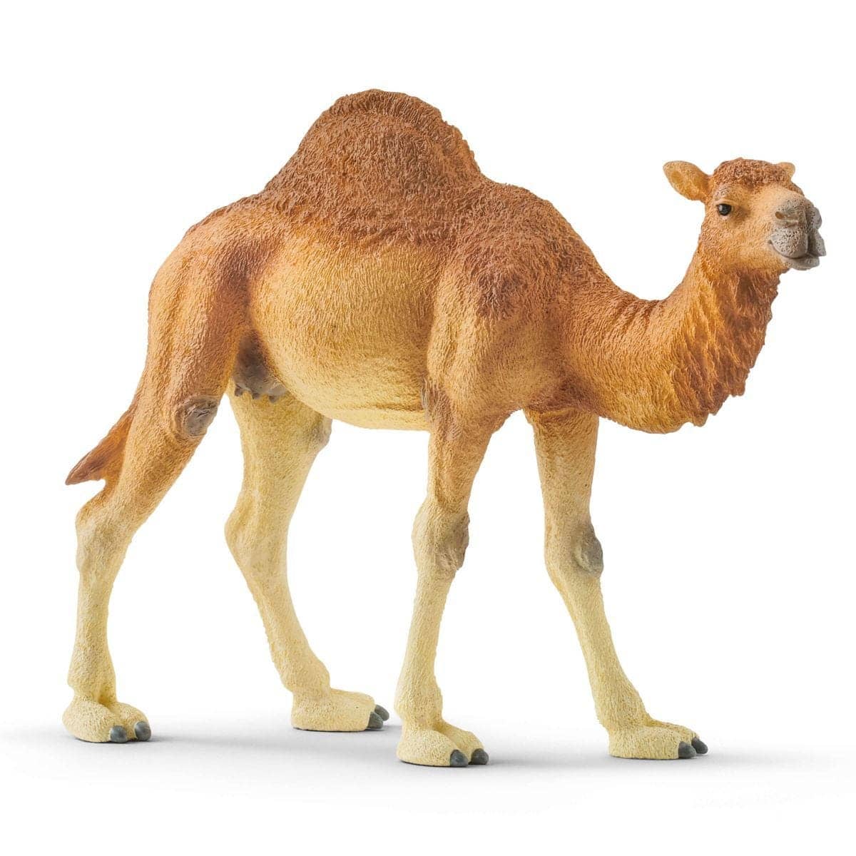 Schleich - Dromedary Arabian Camel Figurine