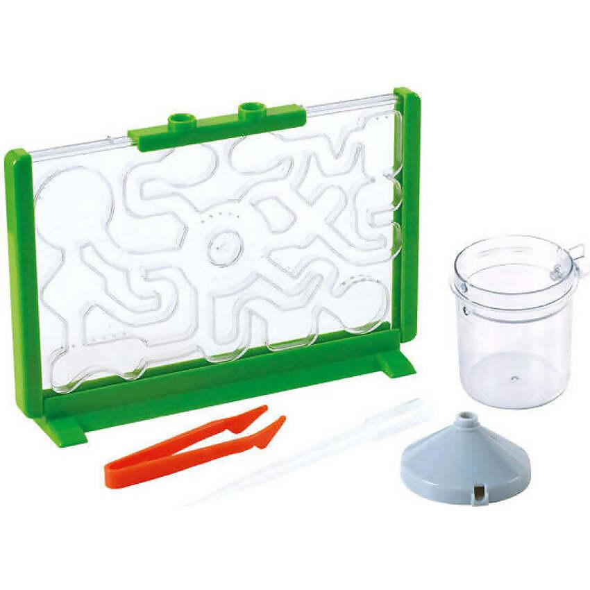 Playgo Toys Ent. Ltd - Ant Farm Discovery