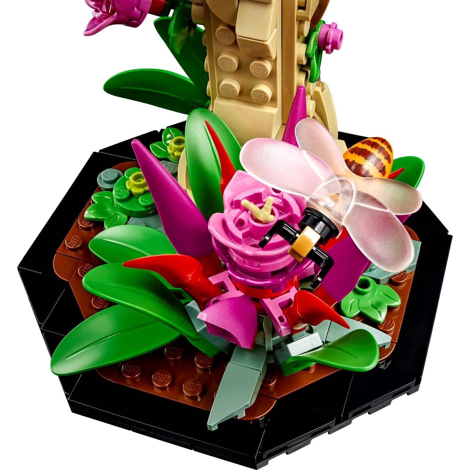 LEGO® 21342 The Insect Collection - Ideas