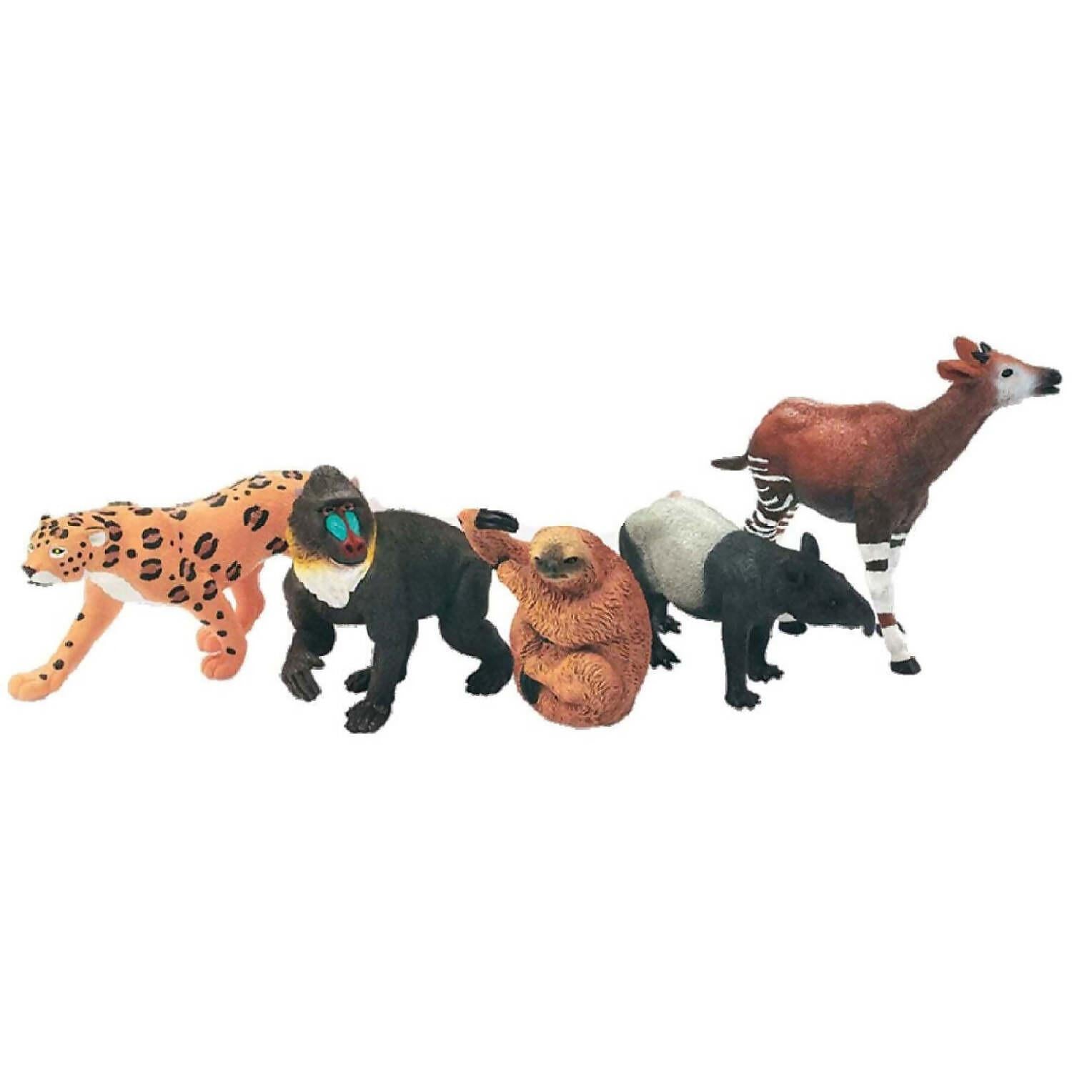 Wild Republic - Polybag Rainforest Animals Collection