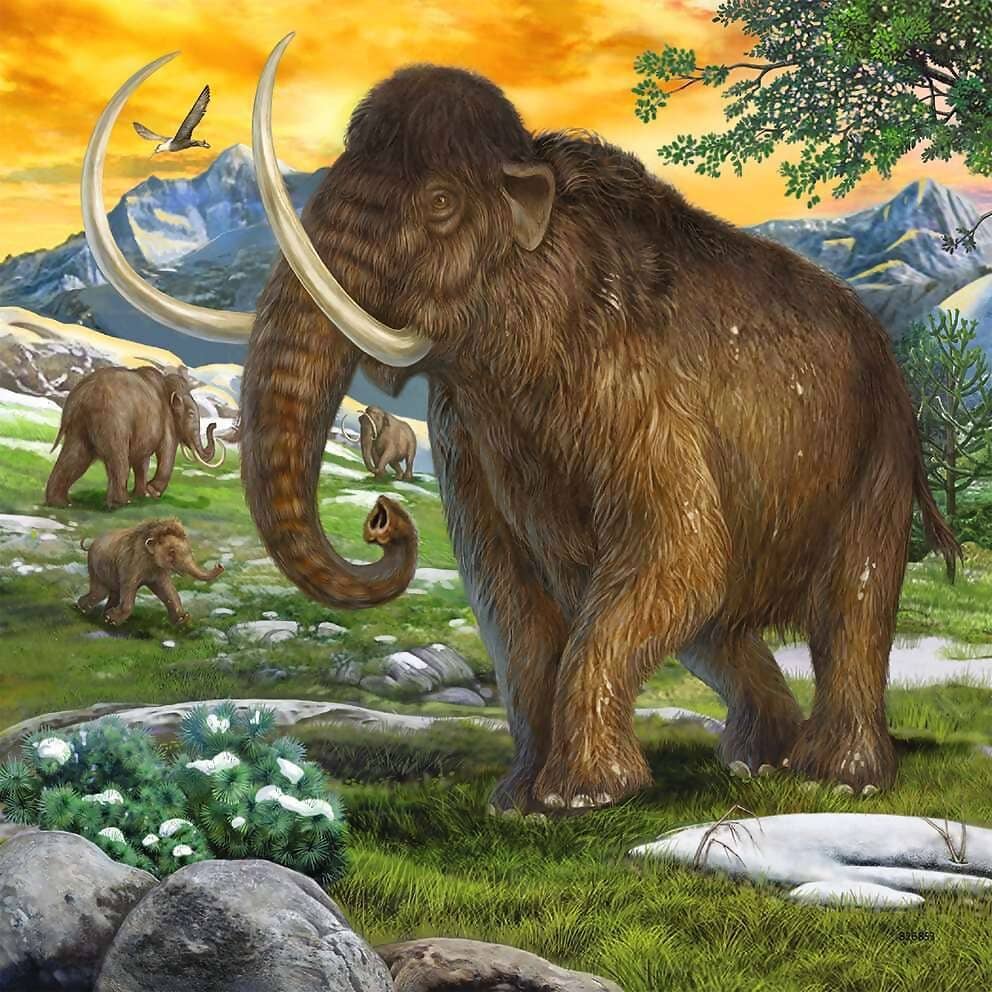 Ravensburger - Rulers Of Primeval Times Jigsaw Puzzle 3x49 Pieces
