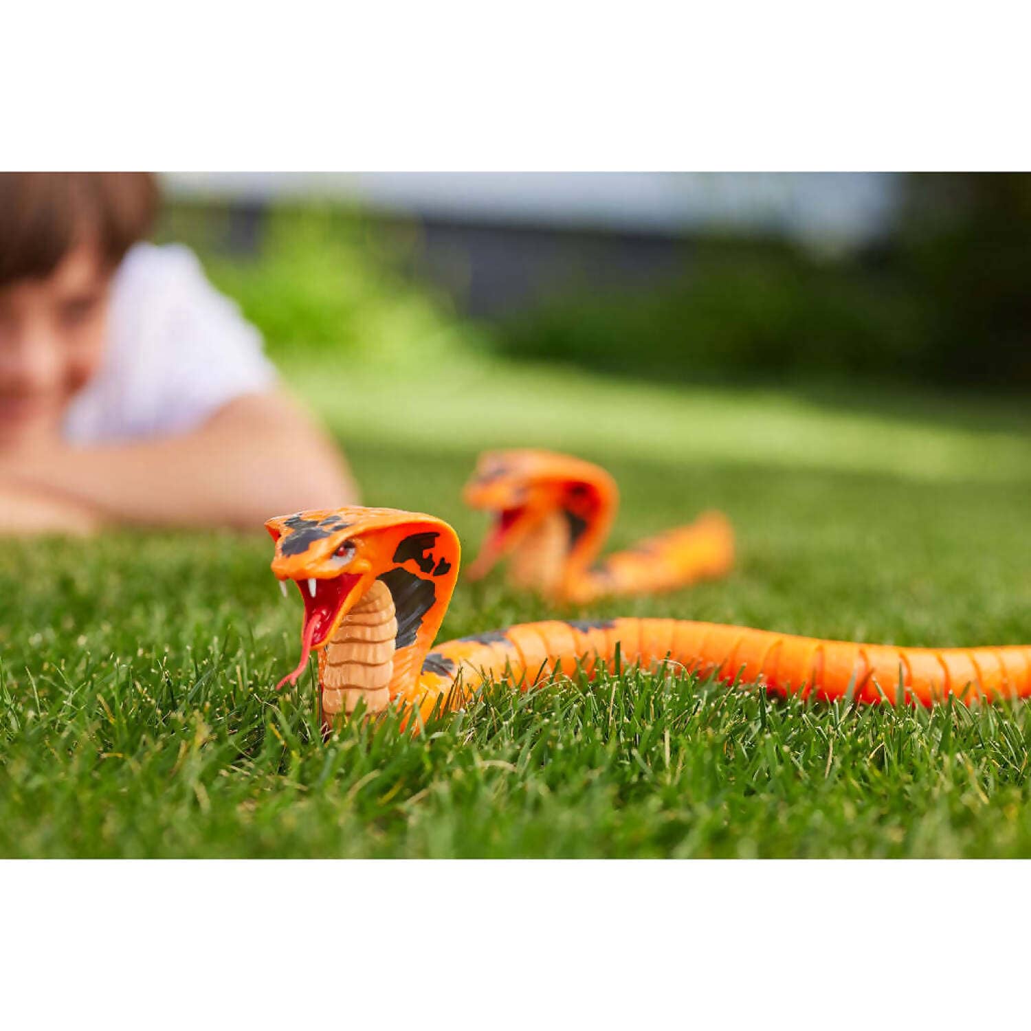 ZURU - Robo Alive King Cobra