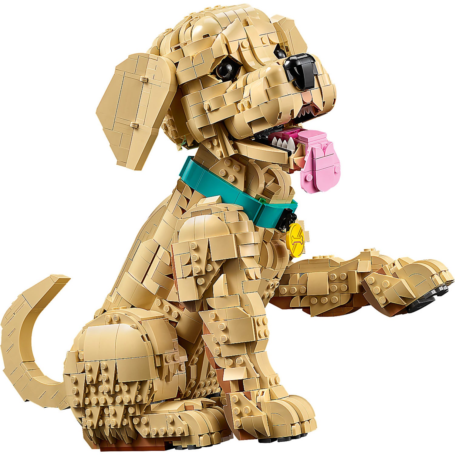 LEGO® 11384 Golden Retriever Puppy - Icons
