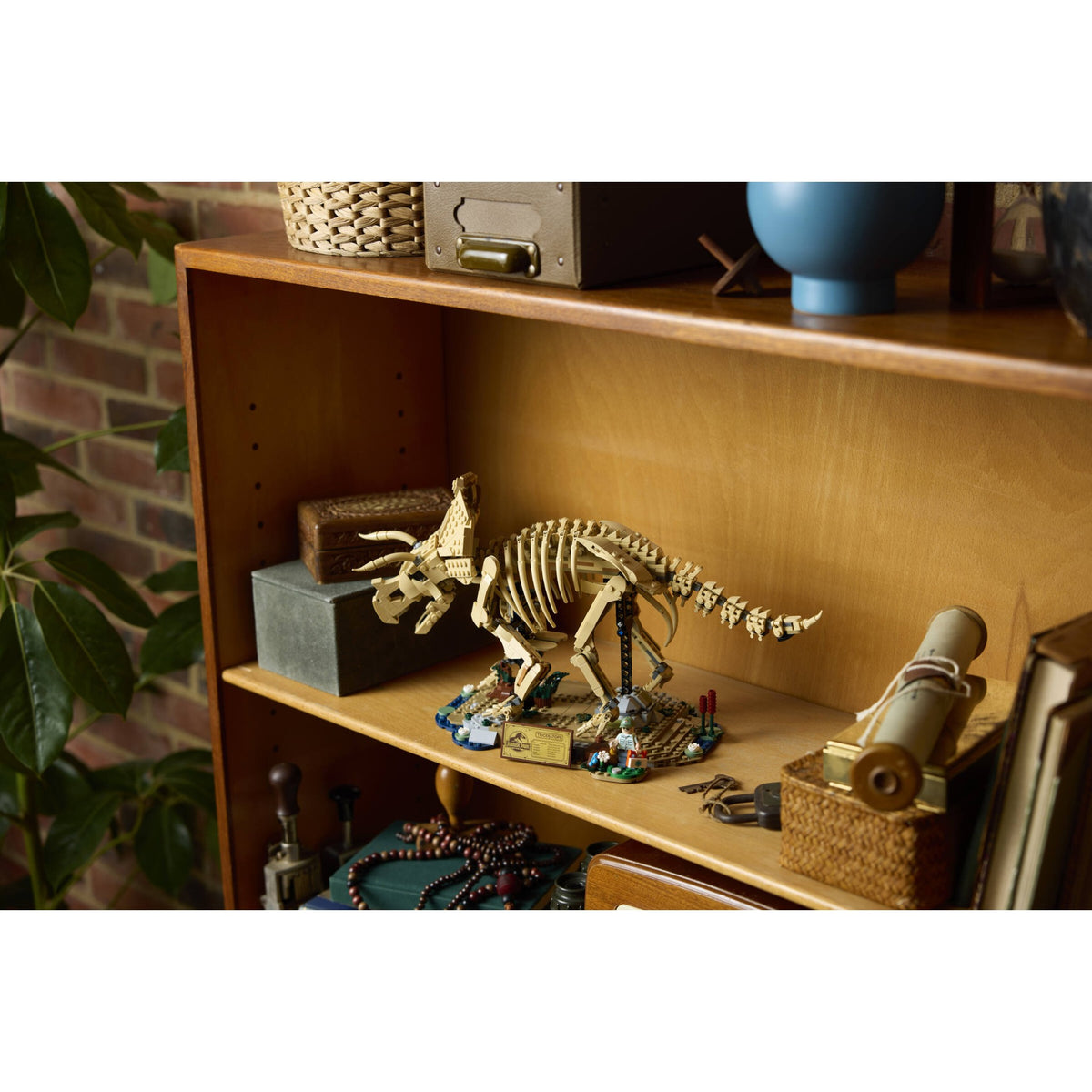 LEGO® 77985 Dinosaur Fossils: Triceratops - Jurassic World™
