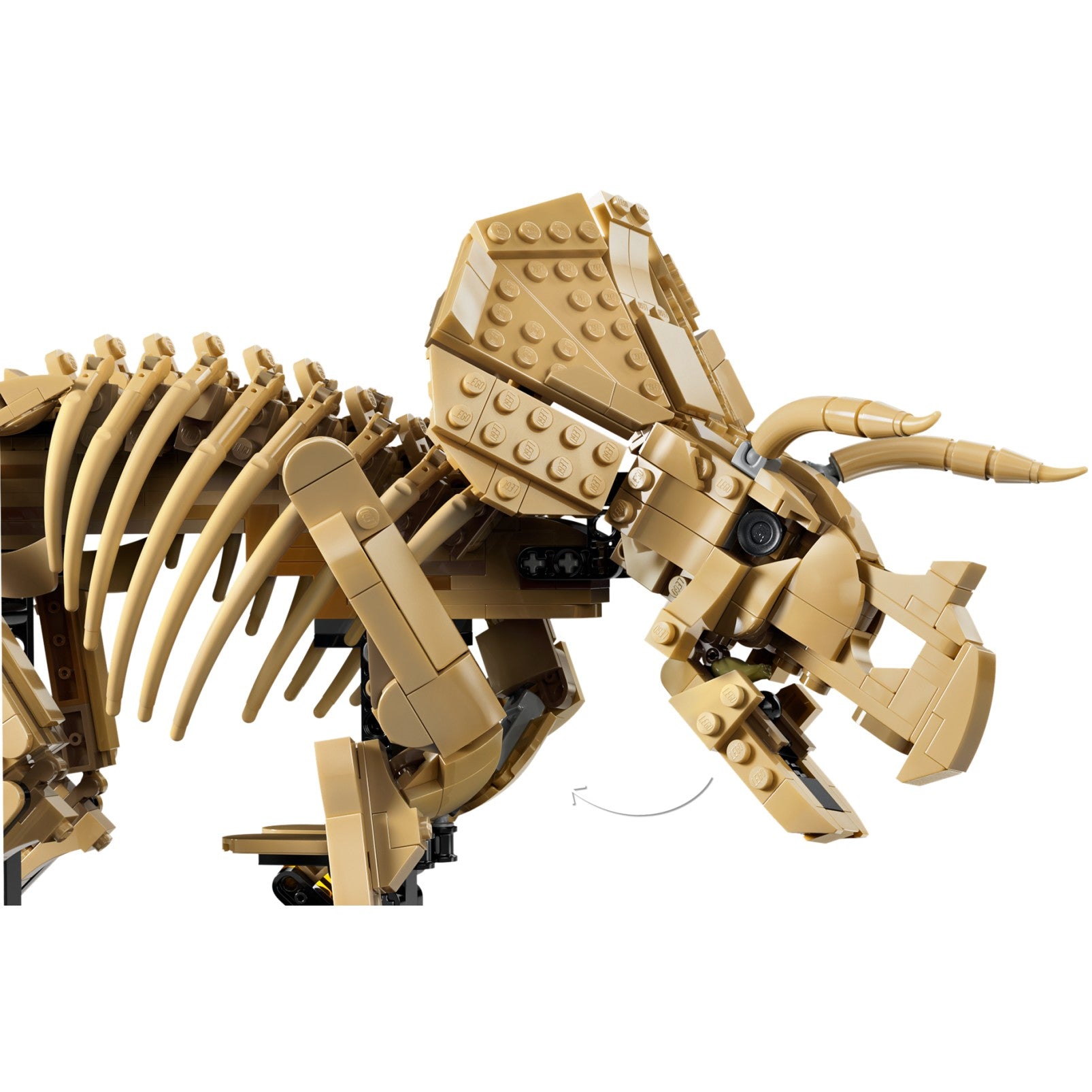LEGO® 77985 Dinosaur Fossils: Triceratops - Jurassic World™