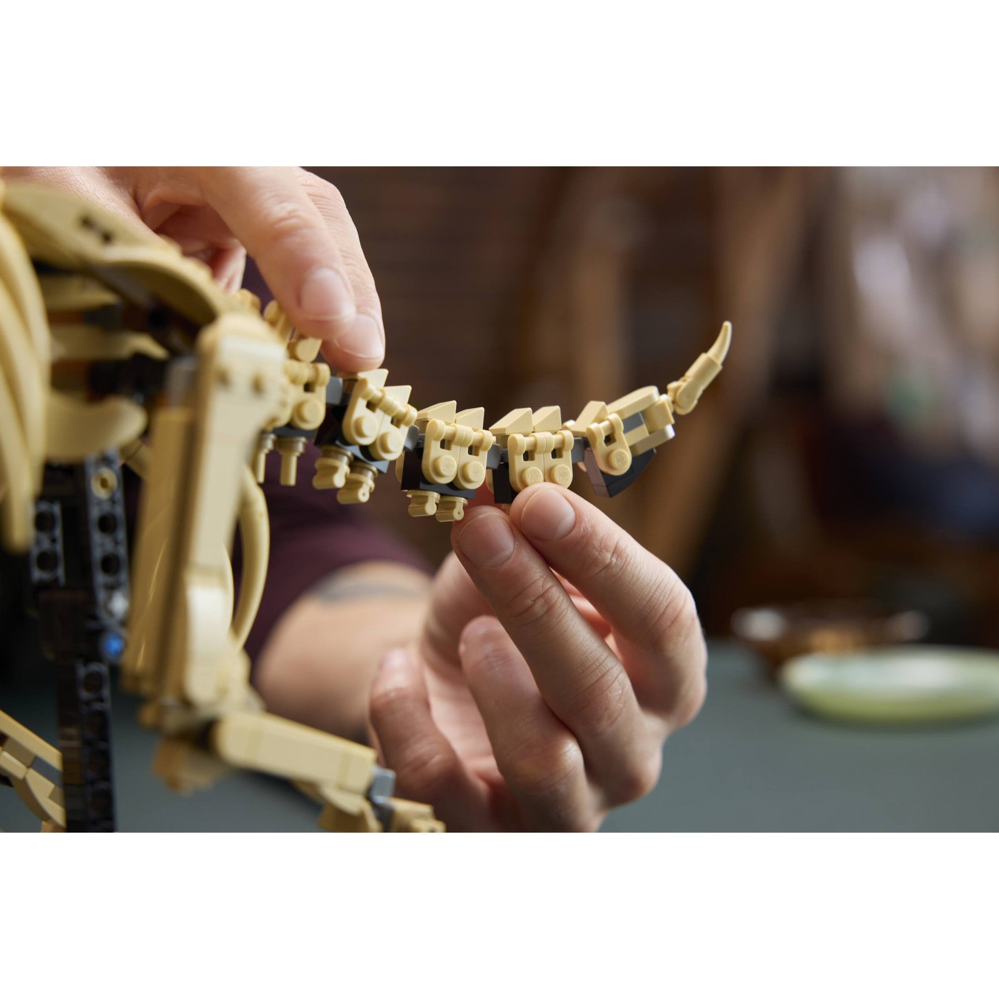 LEGO® 77985 Dinosaur Fossils: Triceratops - Jurassic World™