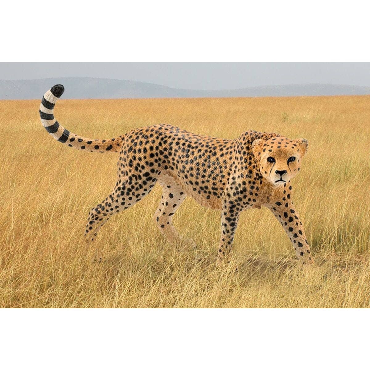 Schleich - Cheetah Female Wildlife Animal Figurine