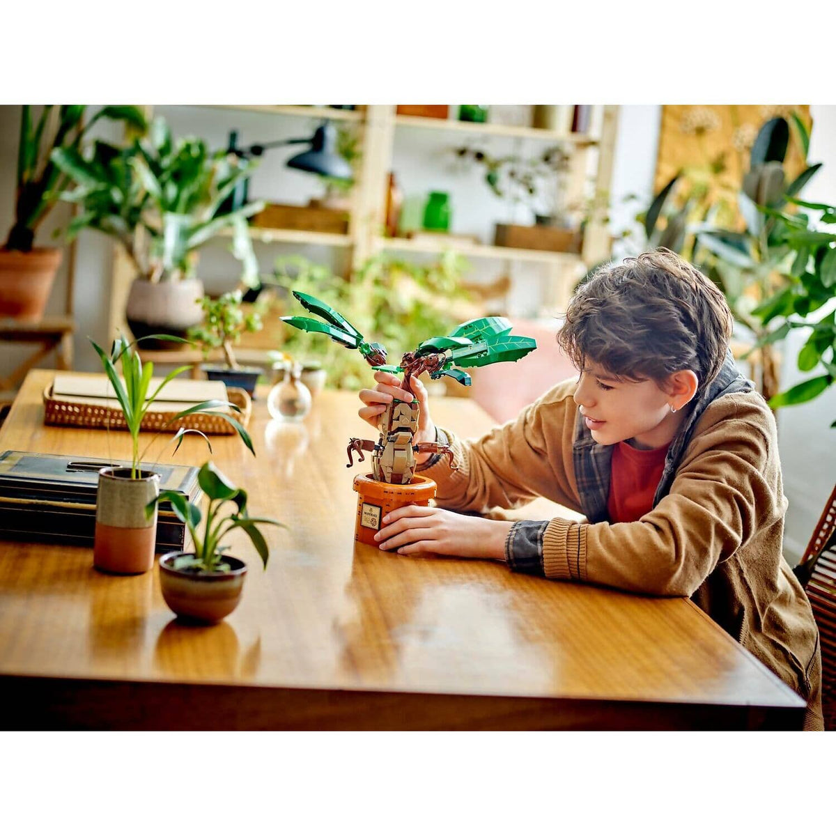 LEGO® 76433 Mandrake - Harry Potter™