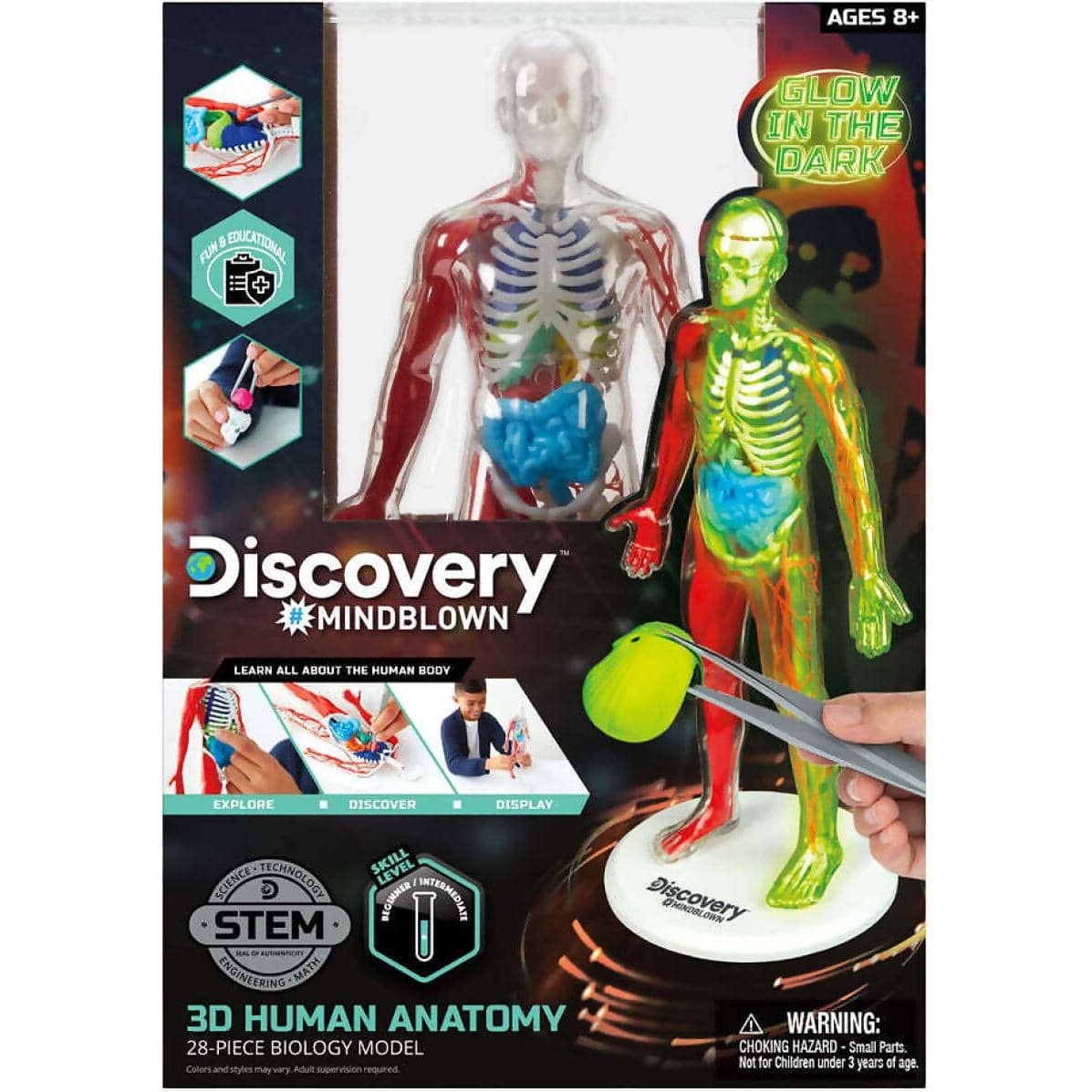 Discovery - Mindblown 3d Human Anatomy 28-piece Biology Model