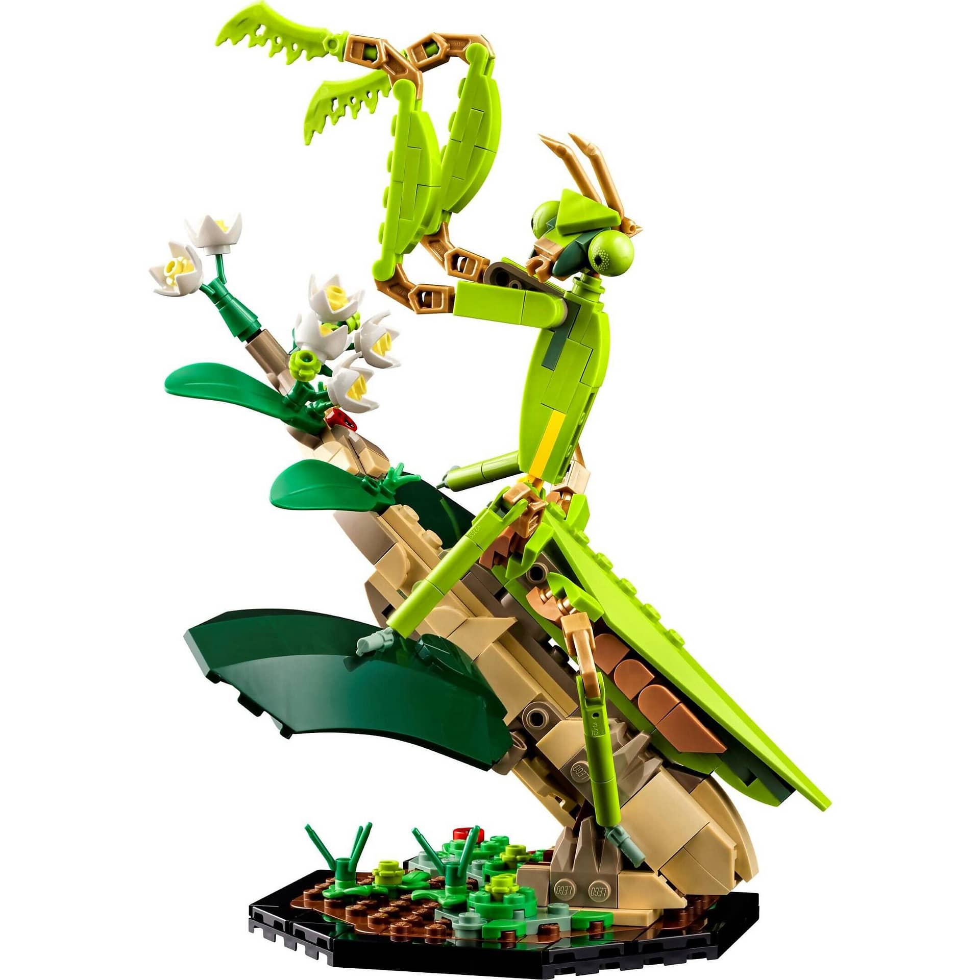 LEGO® 21342 The Insect Collection - Ideas