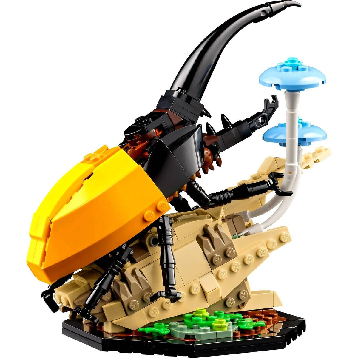 LEGO® 21342 The Insect Collection - Ideas