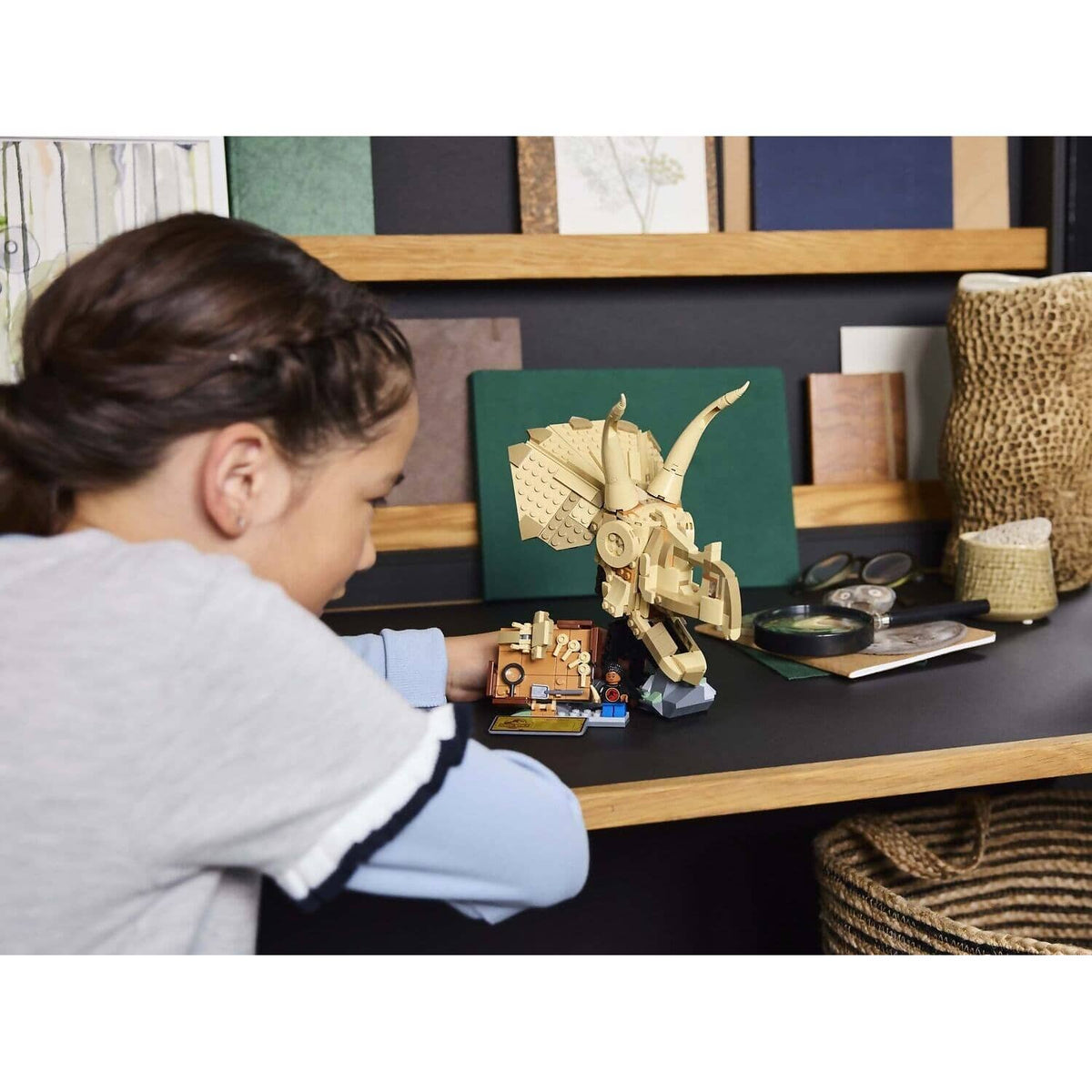 LEGO® 76969 Dinosaur Fossils Triceratops Skull - Jurassic World™