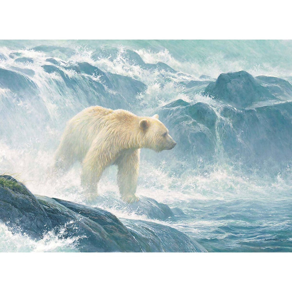Cobble Hill - Salmon Watch - Jigsaw Puzzle 500pc