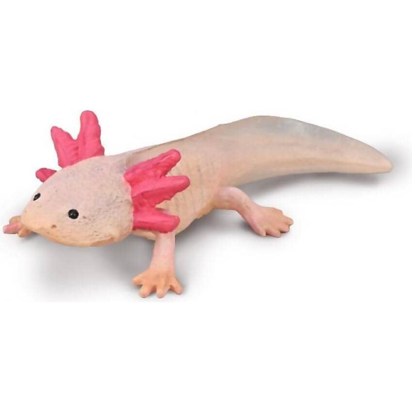 CollectA - Axolotl Animal Figurine
