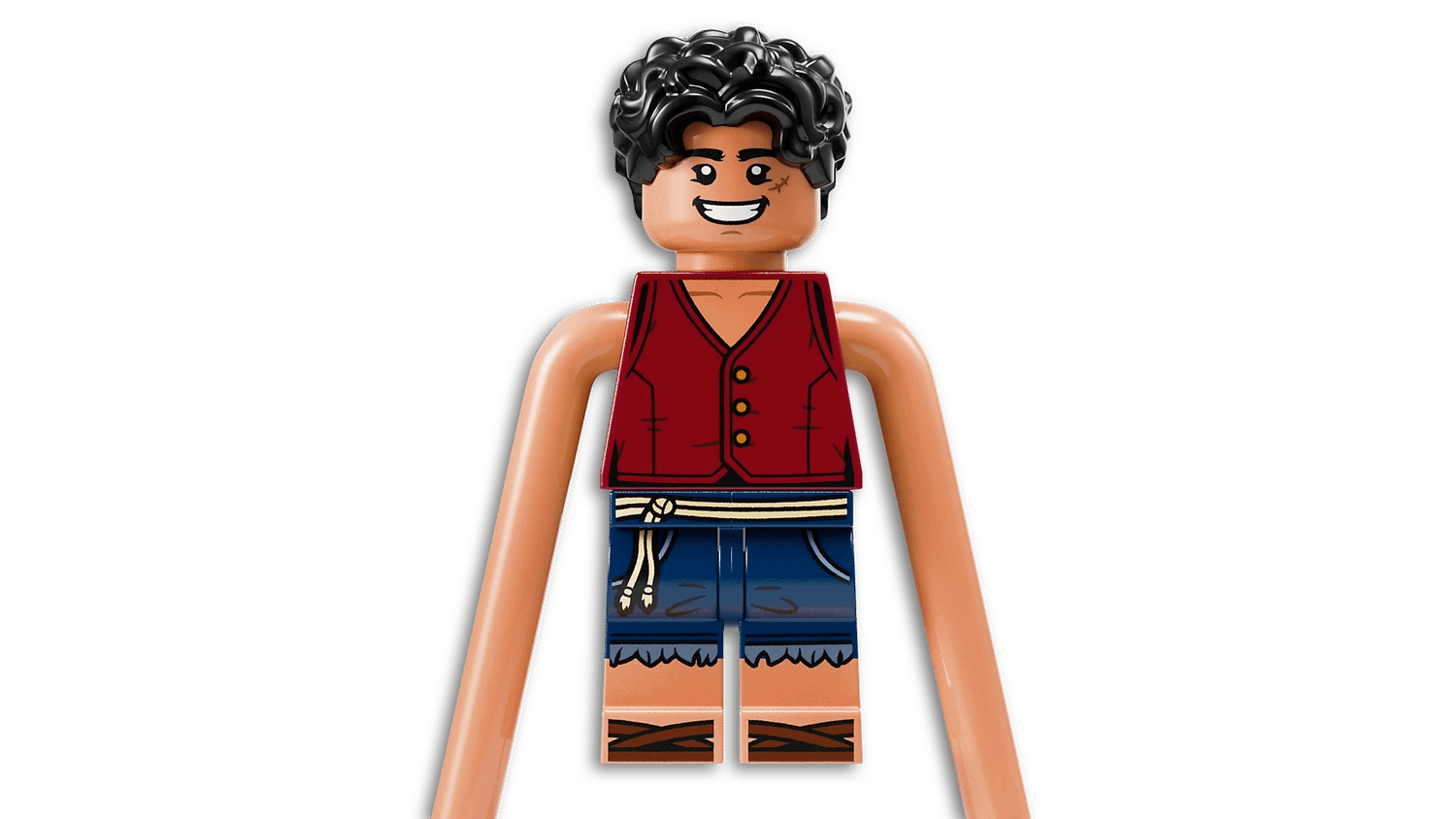LEGO® 75638 Battle at Arlong Park - Netflix One Piece