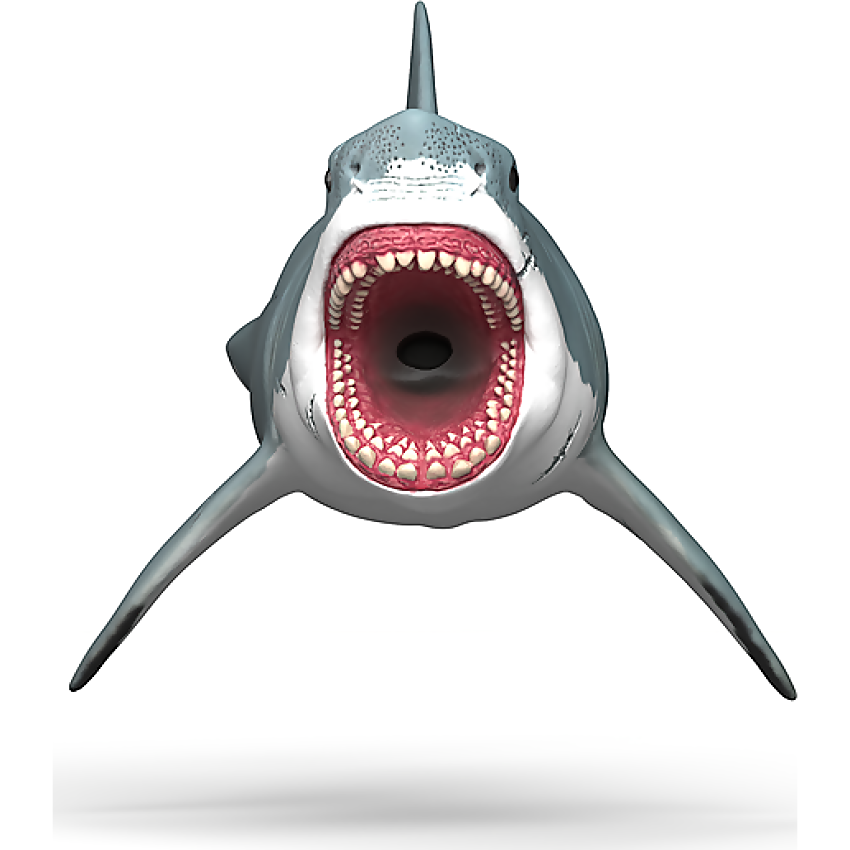 Schleich - Megalodon Prehistoric Giant Shark Figurine