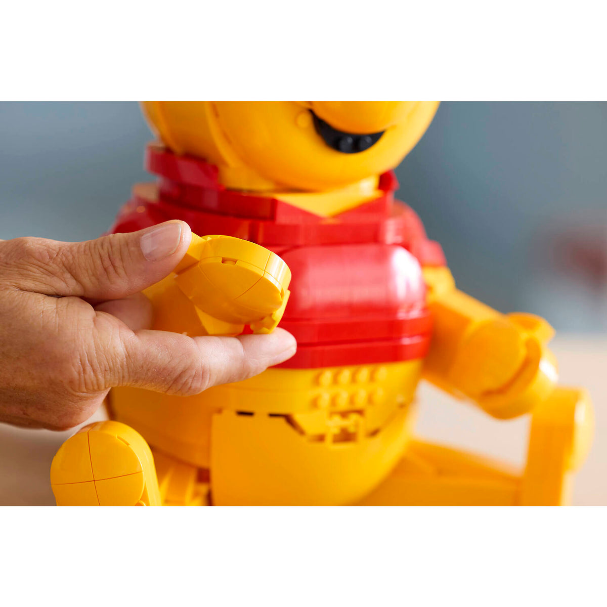 LEGO® 43300 Winnie the Pooh - Disney