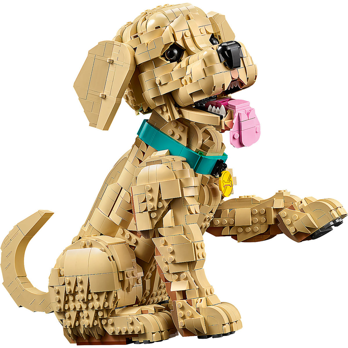 LEGO® 11384 Golden Retriever Puppy - Icons