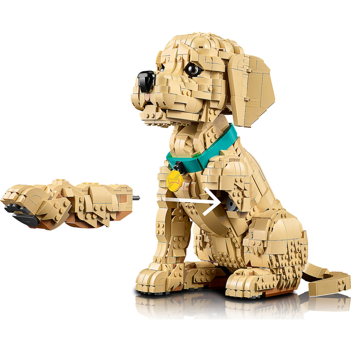 LEGO® 11384 Golden Retriever Puppy - Icons