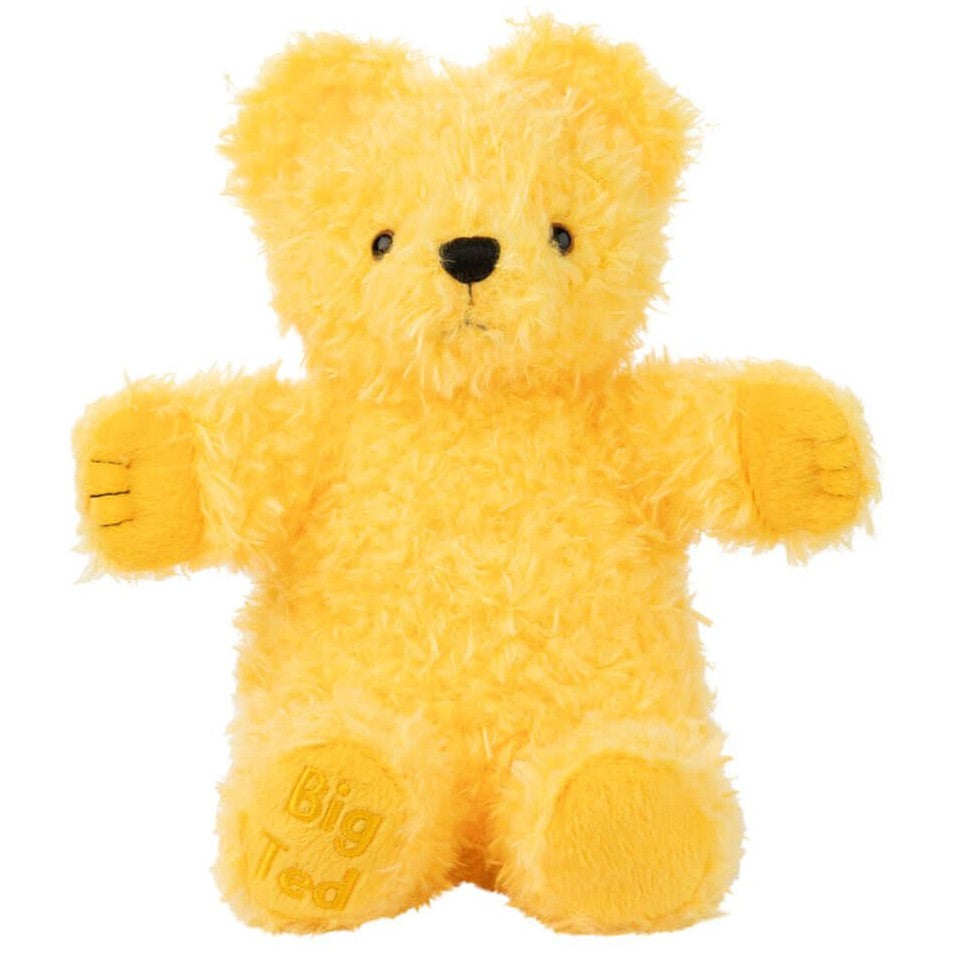 Play School - Big Ted 23cm Plush - Jasnor