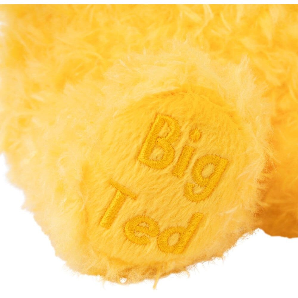 Play School - Big Ted 23cm Plush - Jasnor