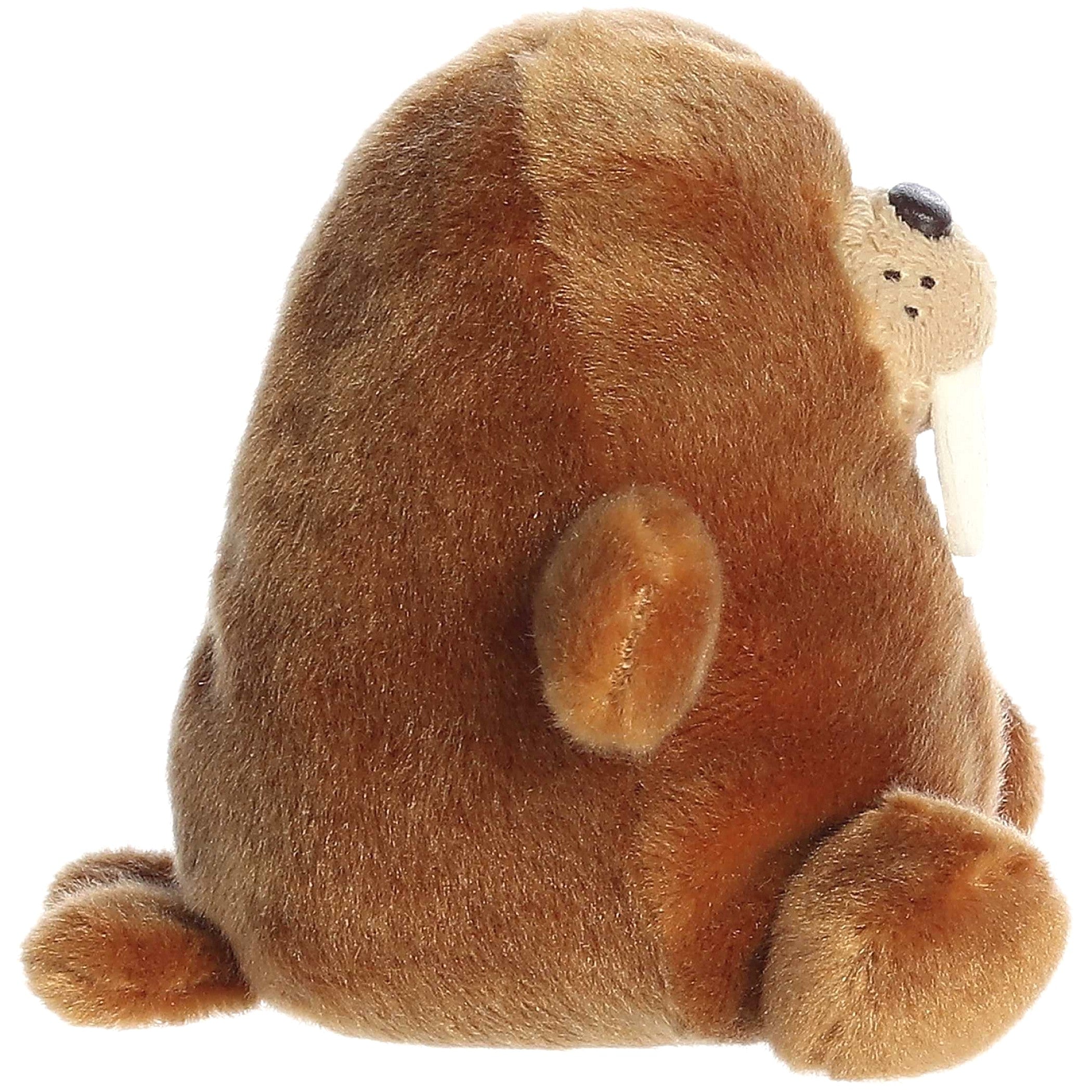 Cotton Candy - Palm Pals Waldo Walrus 13cm Plush