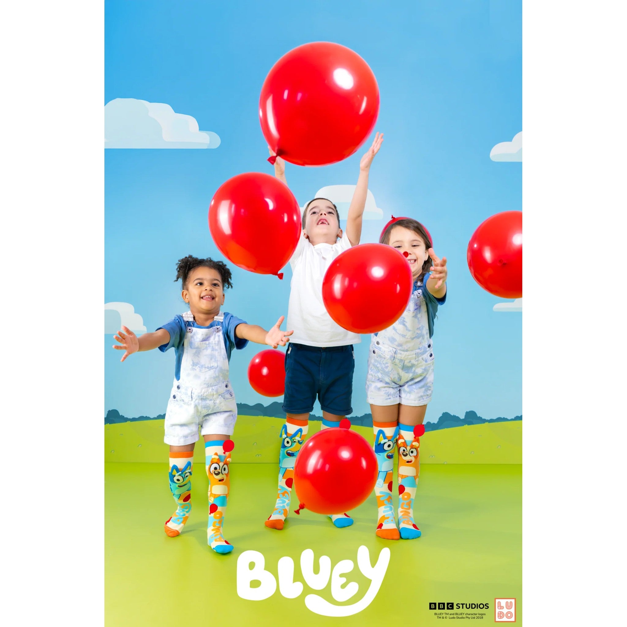 Madmia - Bluey Socks Toddler Age 3-5y