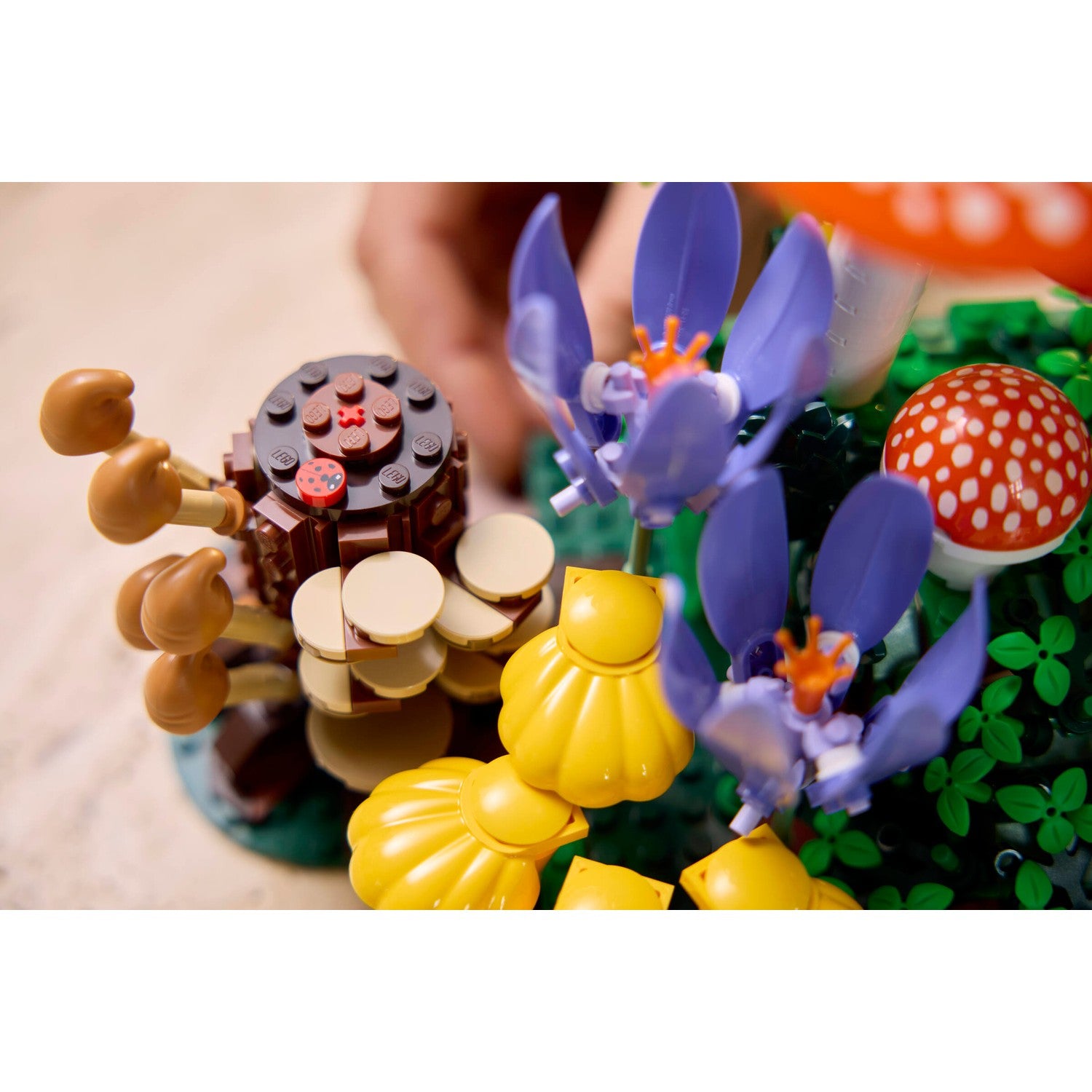 LEGO® 11505 Woodland Mushrooms - Botanicals