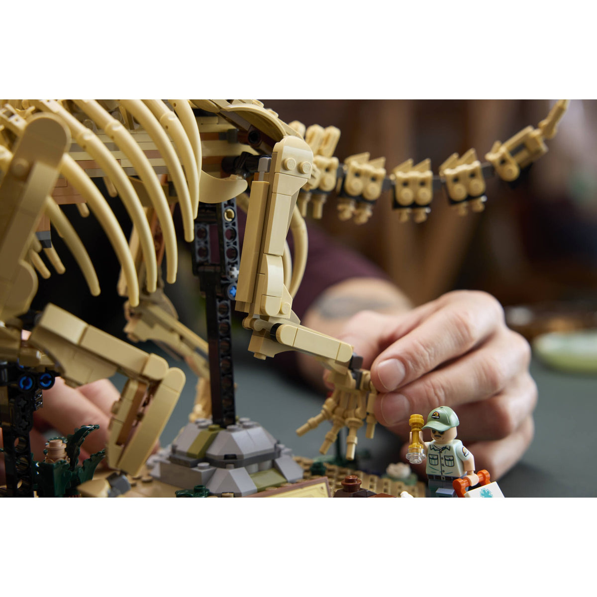 LEGO® 77985 Dinosaur Fossils: Triceratops - Jurassic World™