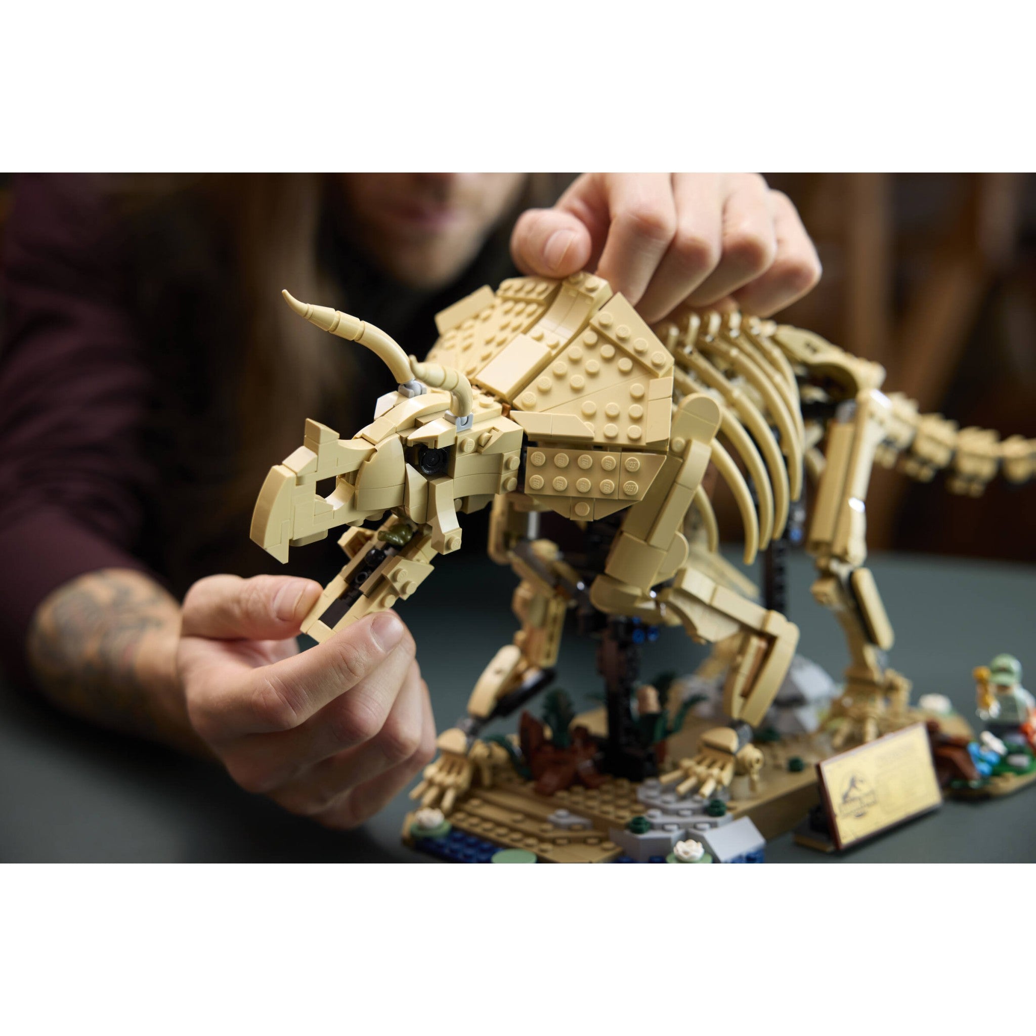 LEGO® 77985 Dinosaur Fossils: Triceratops - Jurassic World™