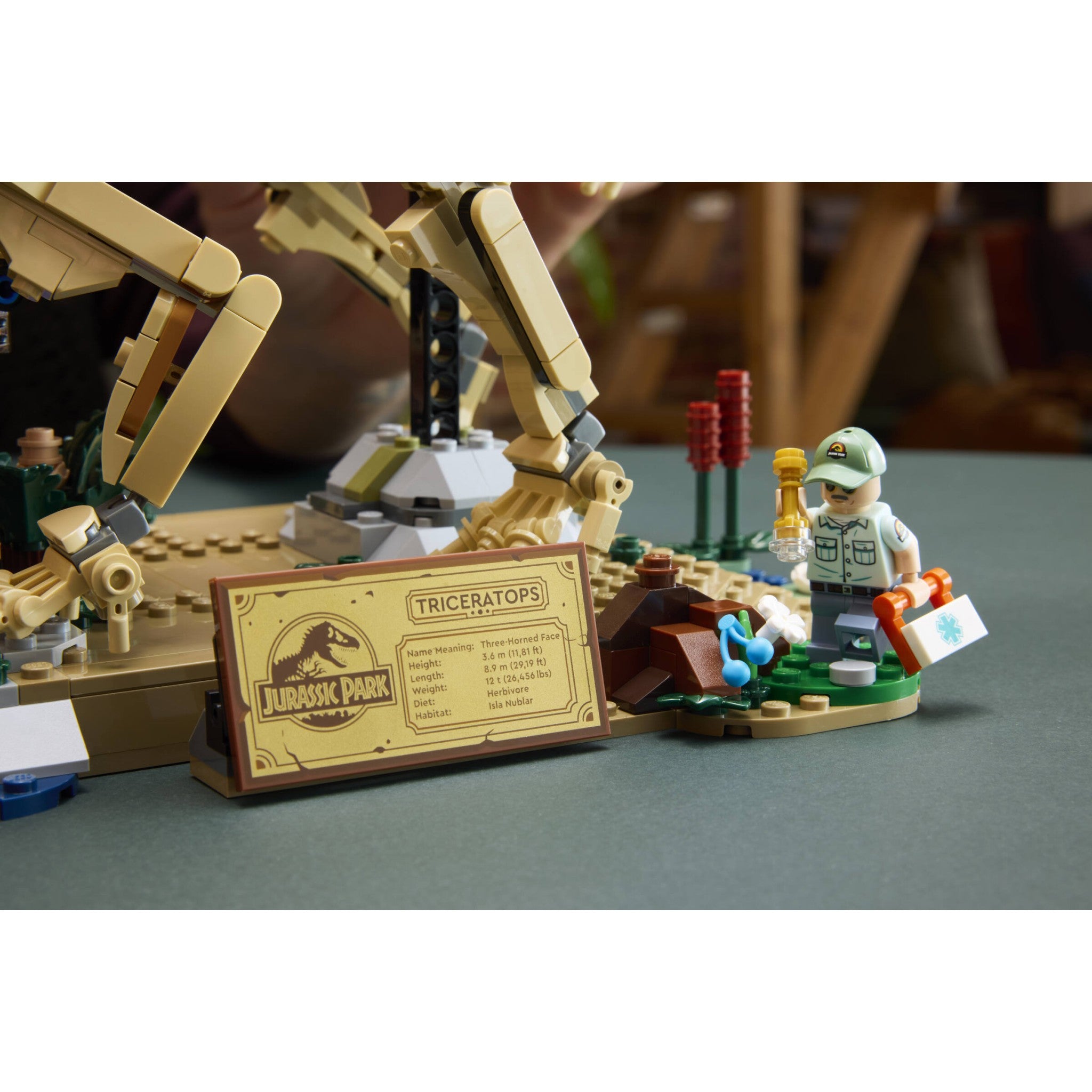 LEGO® 77985 Dinosaur Fossils: Triceratops - Jurassic World™