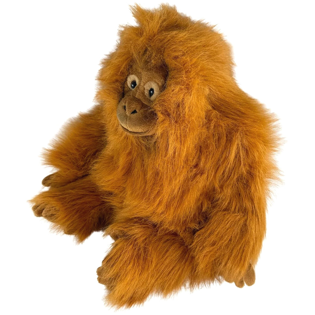 Bocchetta - Cha Cha Orangutan Soft Plush 35cm