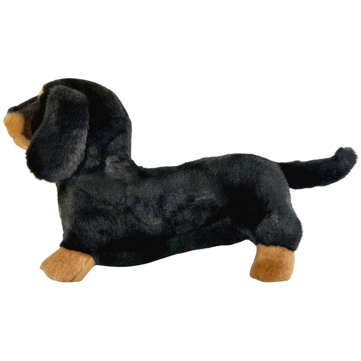 Bocchetta - Buddy Black and Tan Dachshund Standing Soft Plush 36cm