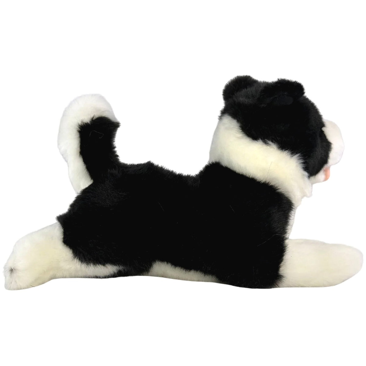 Bocchetta - Patch Border Collie Floppy Soft Plush 28cm