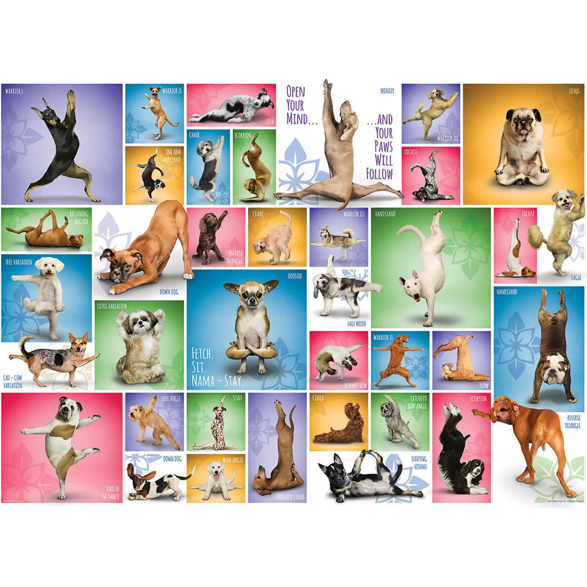 EuroGraphics - Yoga Dogs - Jigsaw Puzzle 1000 Pieces
