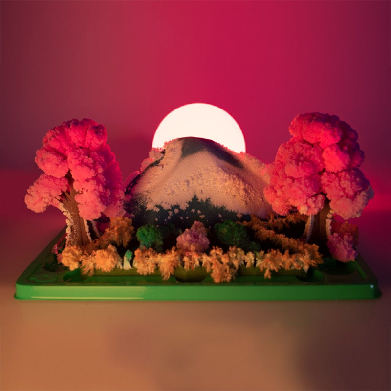 Grow A Magic Garden