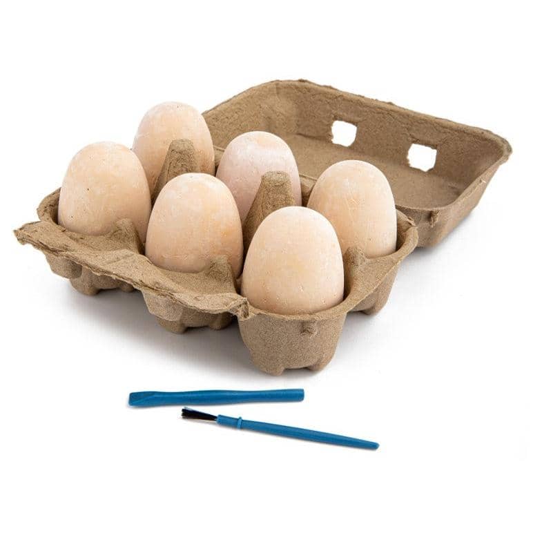 Discovery - Dino Egg Crate 6 Pack