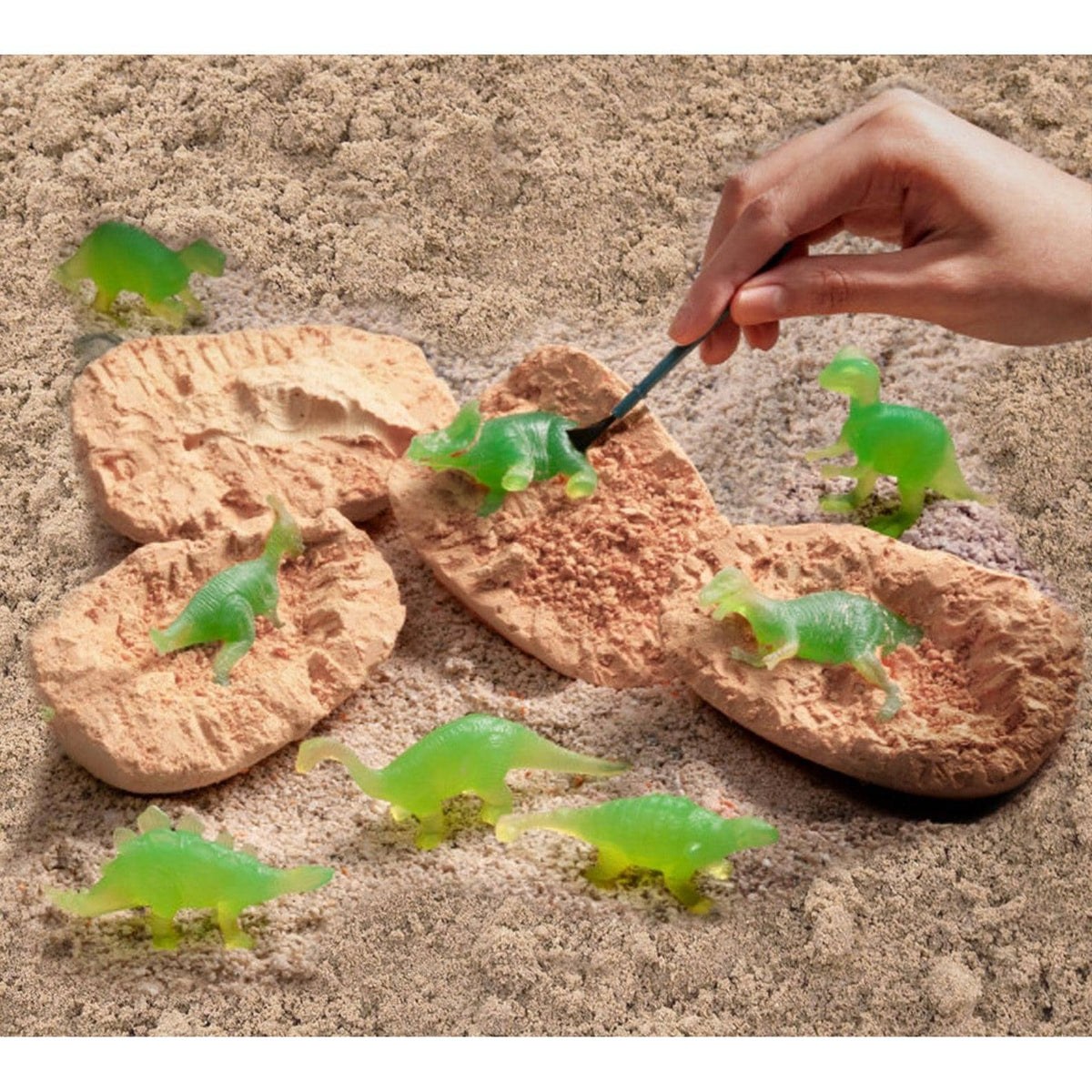 Discovery - Dino Egg Crate 6 Pack